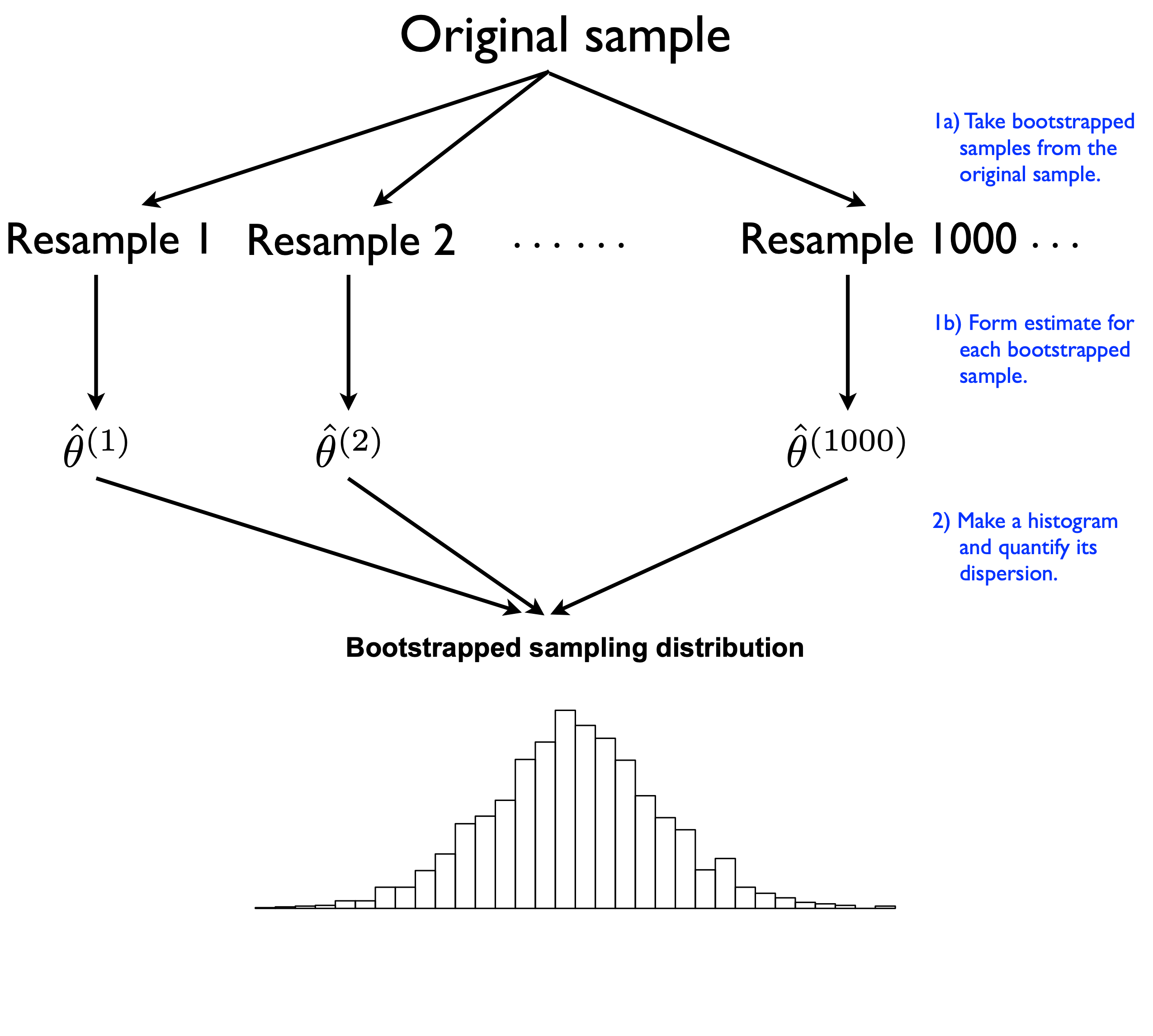 Figure 9.2: A stylized depiction of a bootstrap sampling distribution of an estimator.