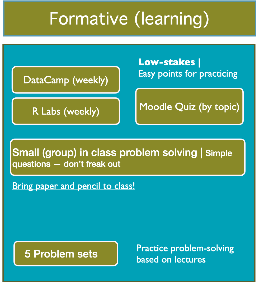 Low-stakes: easy points for practicing. Includes: DataCamp (weekly), R labs, small group problem solving in class, Moodle quiz, 5 problem sets