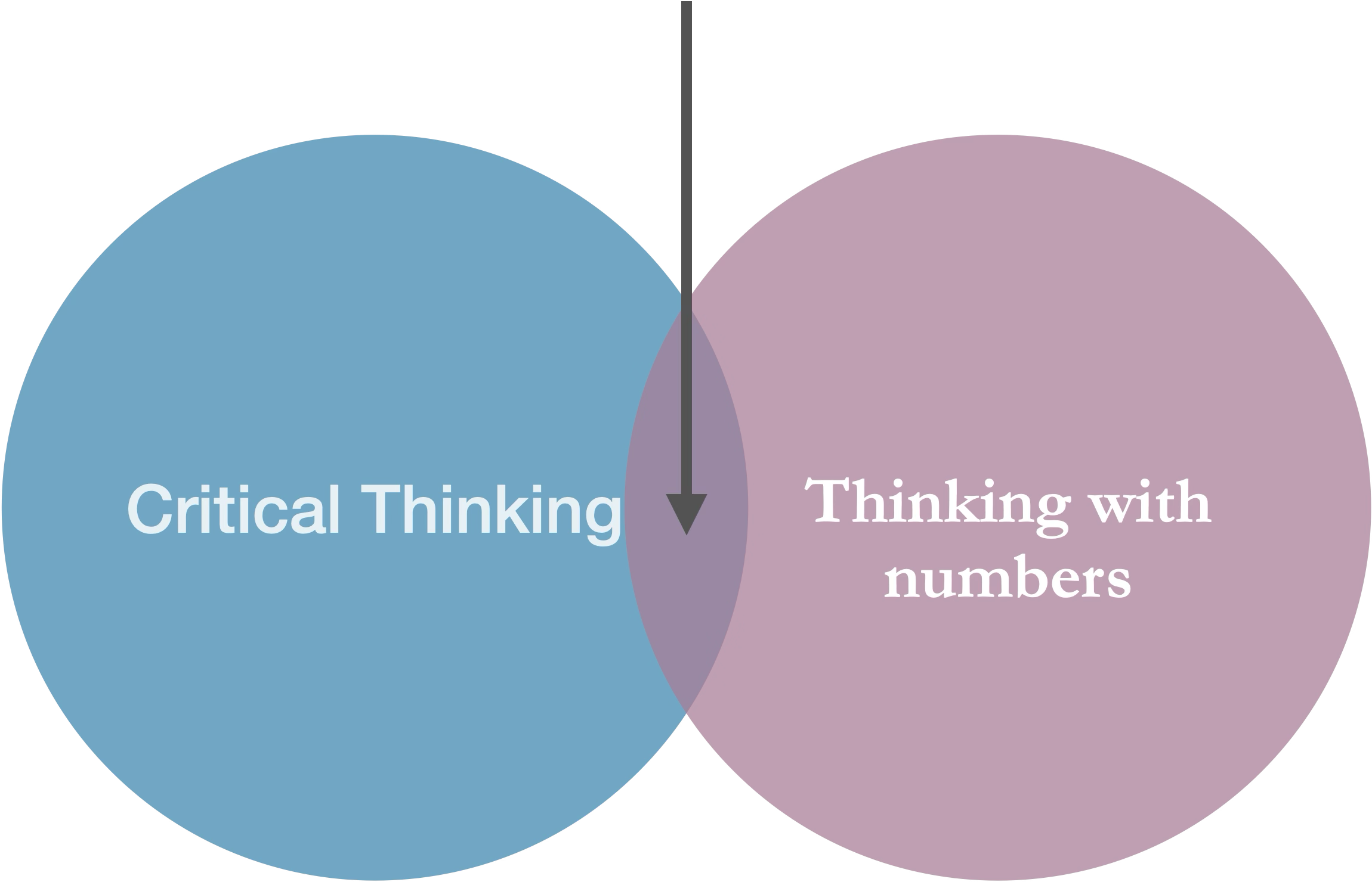 venn diagram shows statistics as the intersection of critical thinking and thinking with numbers