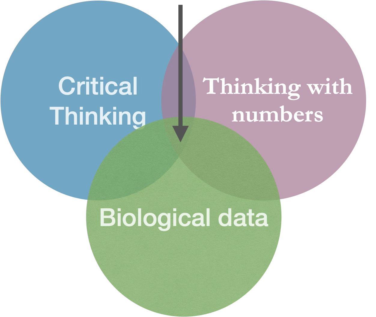 venn diagram shows biostatistics as the intersection of critical thinking, biological data, and thinking with numbers